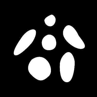 FineTurtleNFT Logo